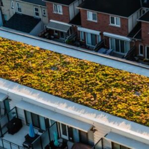 Do Green Roofs Need Maintenance